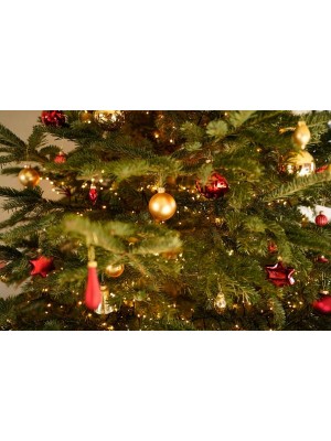 Заснеженная елка: правила хранения