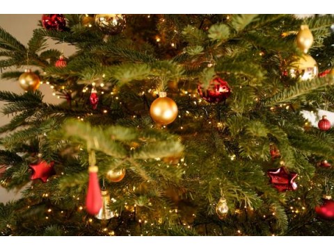 Хранение заснеженной искусственной ели